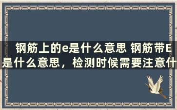 钢筋上的e是什么意思 钢筋带E是什么意思，检测时候需要注意什么事项